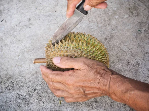 Zblízka durian ovoce — Stock fotografie
