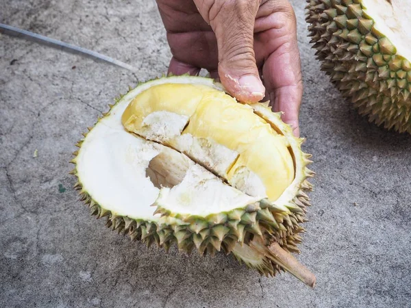 Close up de frutas durianas — Fotografia de Stock
