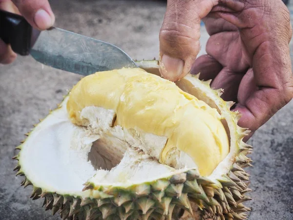 Durian meyvelerini yakın çekim