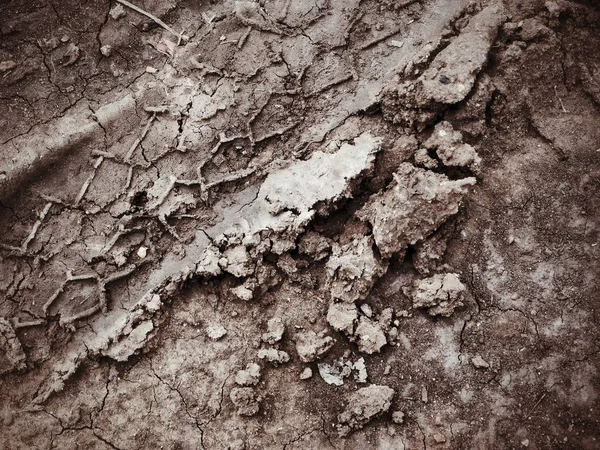 Tracce di ruote sul terreno — Foto Stock