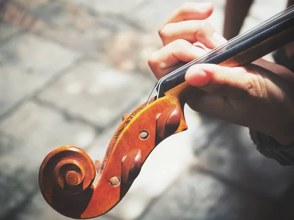 Жінка грає скрипка — стокове фото