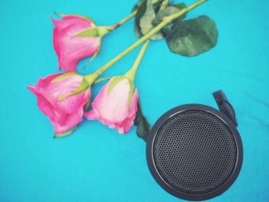 Bluetooth hoparlör ve mavi arka plan üzerinde pembe Gül