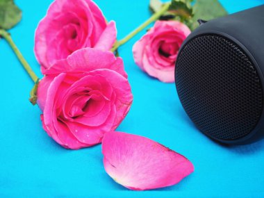 Bluetooth hoparlör ve mavi arka plan üzerinde pembe Gül