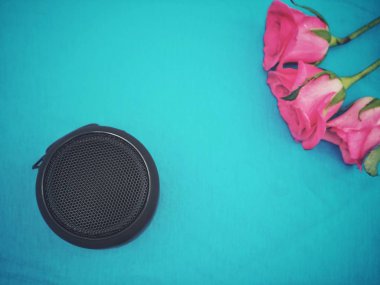 Bluetooth hoparlör ve mavi arka plan üzerinde pembe Gül