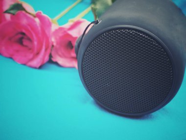 Bluetooth hoparlör ve mavi arka plan üzerinde pembe Gül