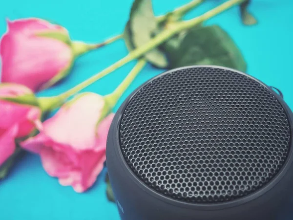 Bluetooth スピーカーと青の背景にピンクのバラ — ストック写真