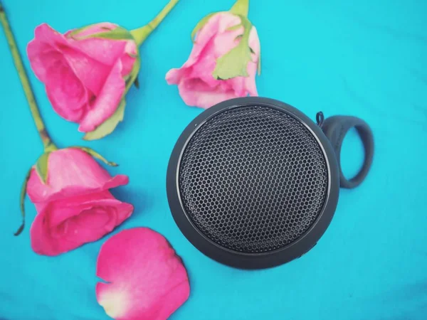 Bluetooth speaker and pink rose on blue background — Stock Photo, Image