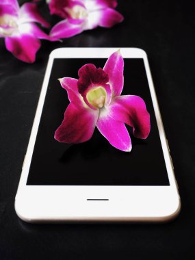Siyah arka plan üzerine pembe taze orkide çiçekli Beyaz smartphone