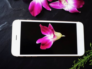 Siyah arka plan üzerine pembe taze orkide çiçekli Beyaz smartphone