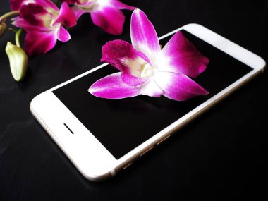 Siyah arka plan üzerine pembe taze orkide çiçekli Beyaz smartphone