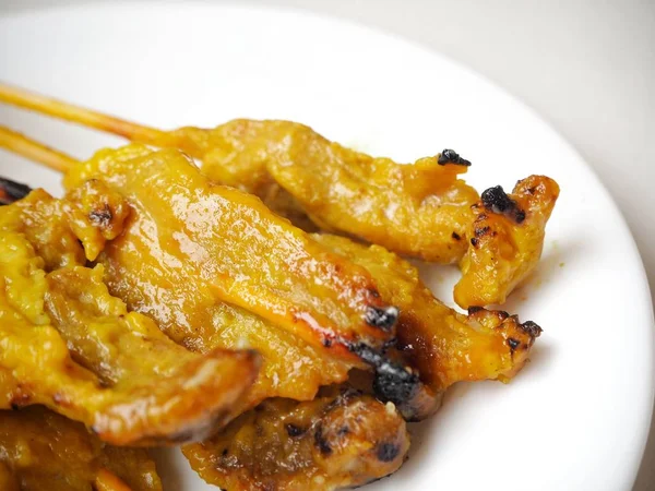 yakından görmek lezzetli geleneksel Hint tandoori tavuk tikka Kebap beyaz plaka üzerinde