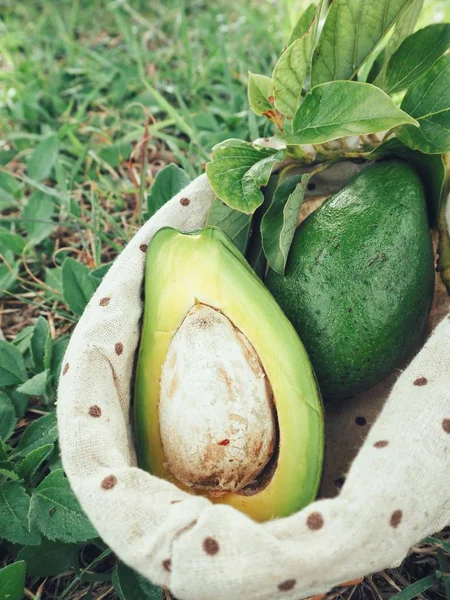 Avocado Fresco Maturo Nel Cestino Erba Verde — Foto Stock