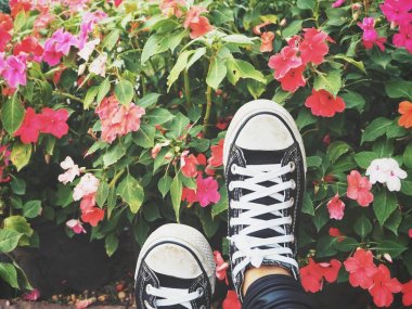 gencin bacakları bush Bahçe çiçekleri ile spor ayakkabı içinde koyarak kırpılmış görüntü