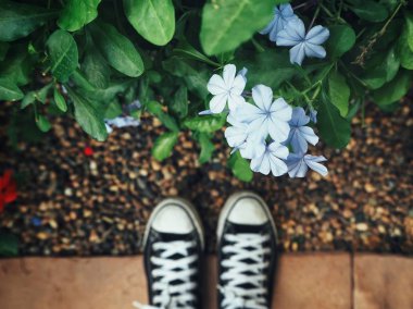 Genç mavi çiçek bahçesinde yakın duran spor ayakkabı içinde kırpılmış görüntü