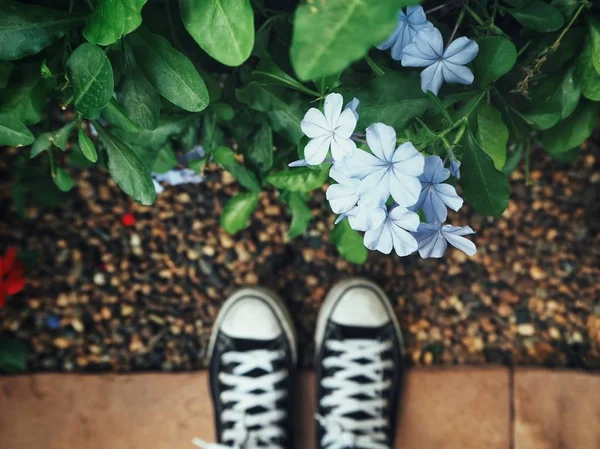 Genç mavi çiçek bahçesinde yakın duran spor ayakkabı içinde kırpılmış görüntü