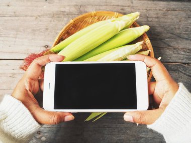 fotoğrafta Mısır koçanı ile smartphone kadının kırpılmış atış