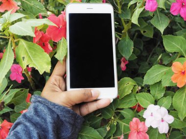 Beyaz smartphone tutan kadın görünümü Kapat