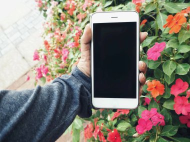 Beyaz smartphone tutan kadın görünümü Kapat