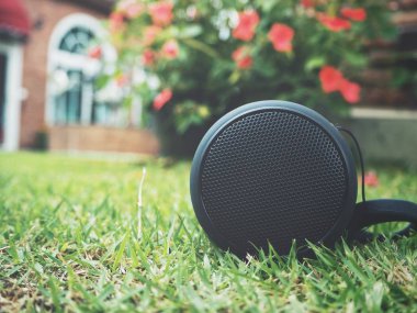 yakın çekim yeşil çim üzerinde yalan bluetooth hoparlör vurdu