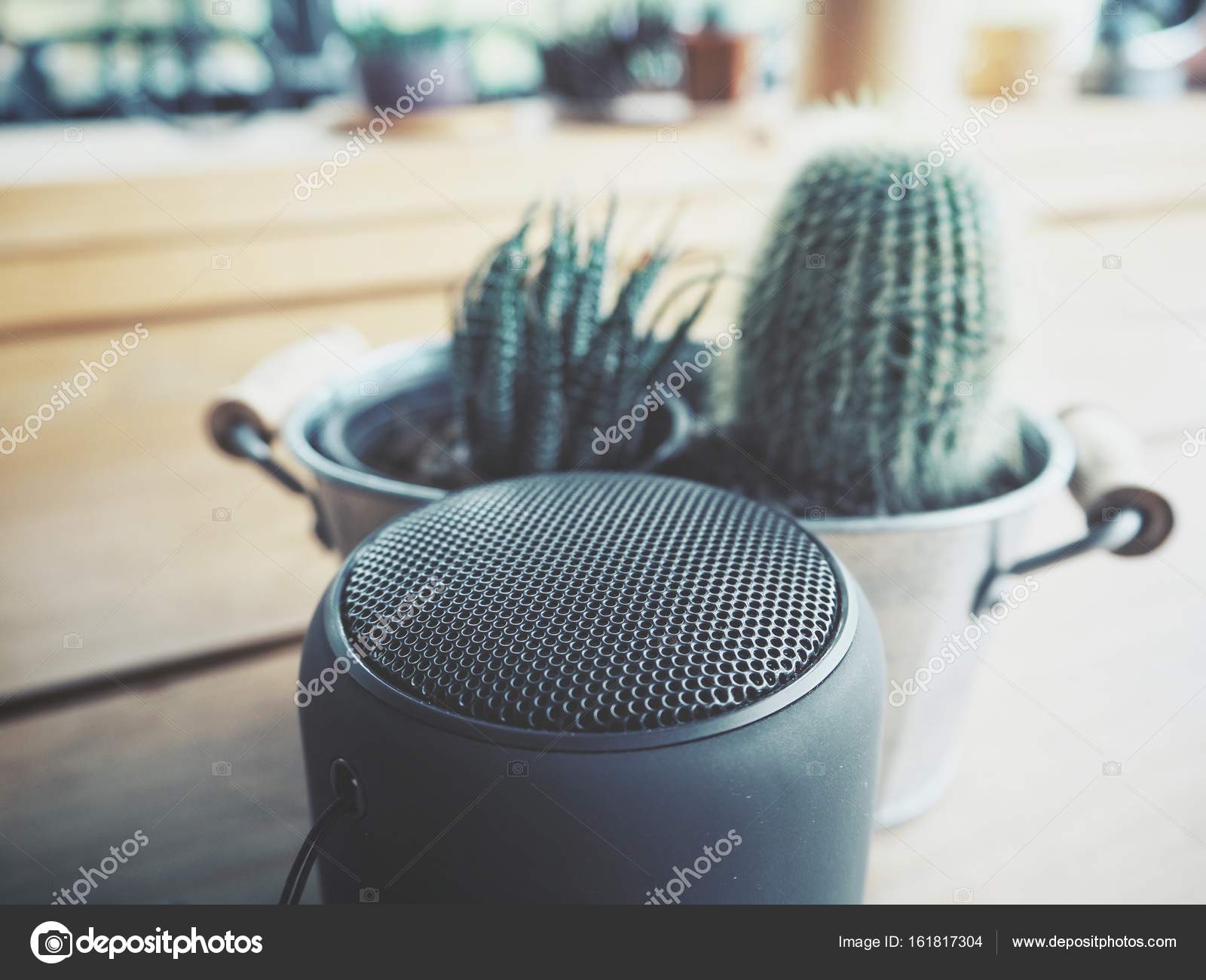 cactus bluetooth speaker