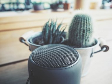 bluetooth hoparlör ve kaktüs bitkileri ahşap masa üzerinde yakın çekim çekim