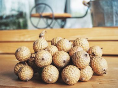 Arka plan, Palm'da meyvelerini yakın çekim