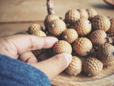 Arka plan, Palm'da meyvelerini yakın çekim