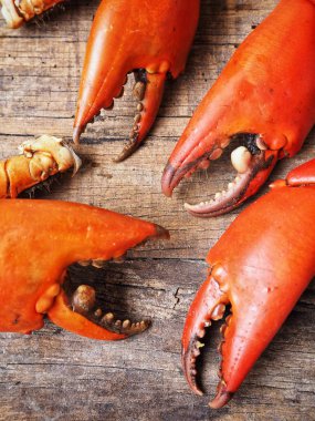 Pişmiş yengeç pençeleri ahşap arka plan üzerinde