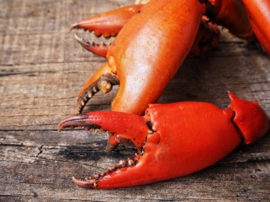 Pişmiş yengeç pençeleri ahşap arka plan üzerinde