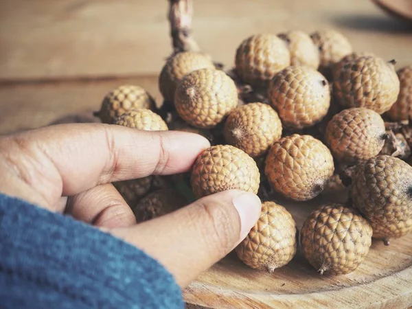 Arka plan, Palm'da meyvelerini yakın çekim