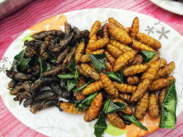 Fried insects asia food — Stock Photo, Image