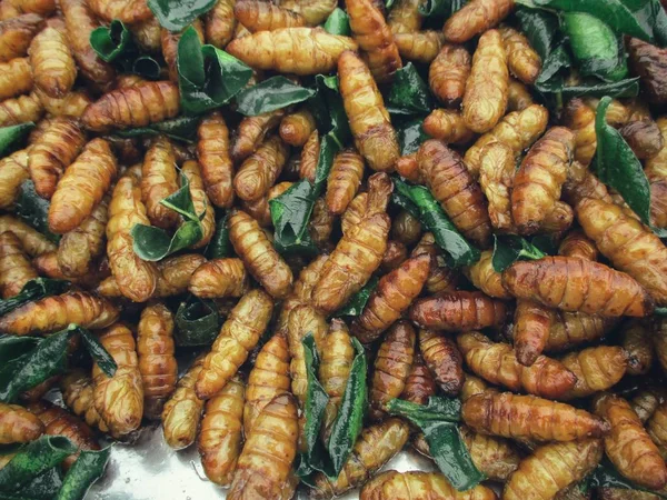 Insecte prăjite alimente asiatice — Fotografie, imagine de stoc