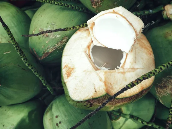신선한 코코넛의 달콤한 코코넛 평면도 — 스톡 사진