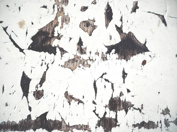 Beyaz grunge Ahşap dokulu arka plan görünümünü kapat