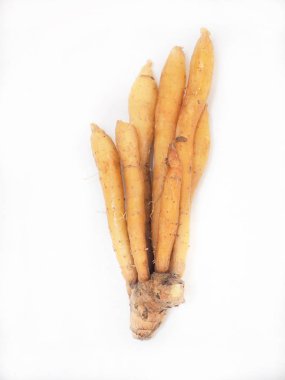 Beyaz arka plan üzerinde izole taze çiğ fingerroot