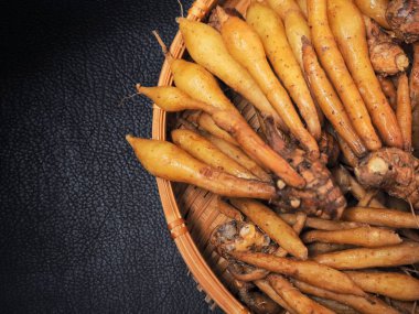 Siyah arka plan üzerine taze fingerroot sebze