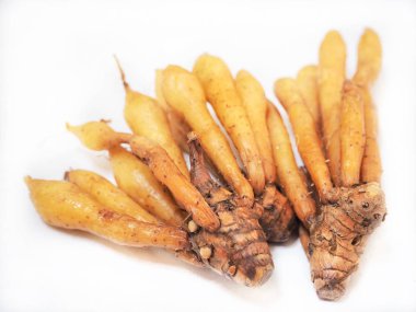 Beyaz arka plan üzerinde izole taze çiğ fingerroot