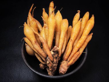 Siyah arka plan üzerine taze fingerroot sebze