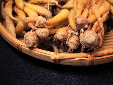 Siyah arka plan üzerine taze fingerroot sebze