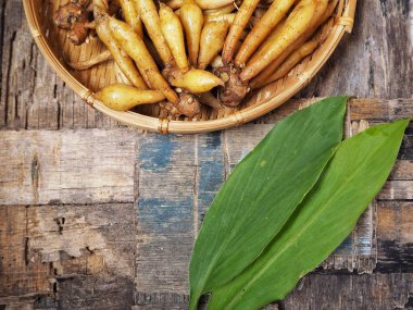 Eski ahşap zemin üzerine taze çiğ fingerroot