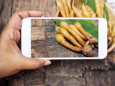 Fingerroot akıllı telefon ile bir fotoğraf çekici