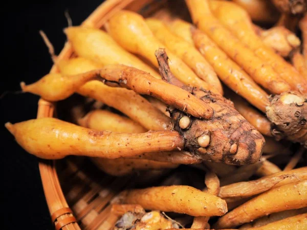 黒の背景に Fingerroot の新鮮な野菜 — ストック写真