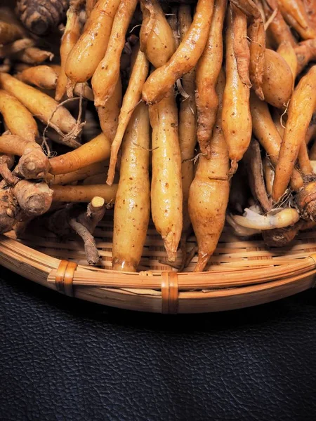 Siyah arka plan üzerine taze fingerroot sebze