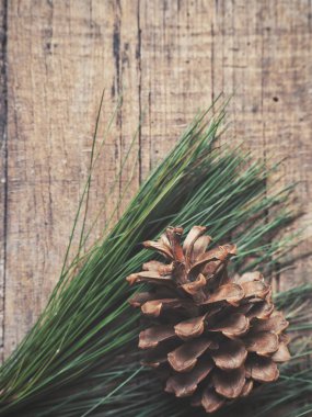 ahşap masa üzerinde çam kozalağı ve yeşil dallar üstten görünüm   