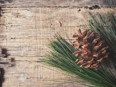 ahşap masa üzerinde çam kozalağı ve yeşil dallar üstten görünüm  