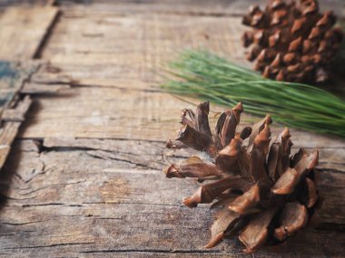 çam kozalakları yeşil dallar ile yakından görmek rustik ahşap masa, seçici odak üzerinde 