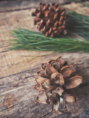 çam kozalakları yeşil dallar ile yakından görmek rustik ahşap masa, seçici odak üzerinde