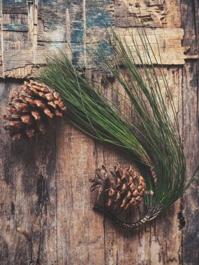 çam kozalakları yeşil dallar ile üstten görünüm ahşap tablo  