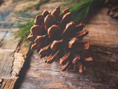 çam kozalağı ve yeşil dallar yakından görmek rustik ahşap masa, seçici odak üzerinde   