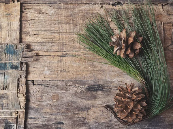 çam kozalakları yeşil dallar ile üstten görünüm rustik ahşap tablo    